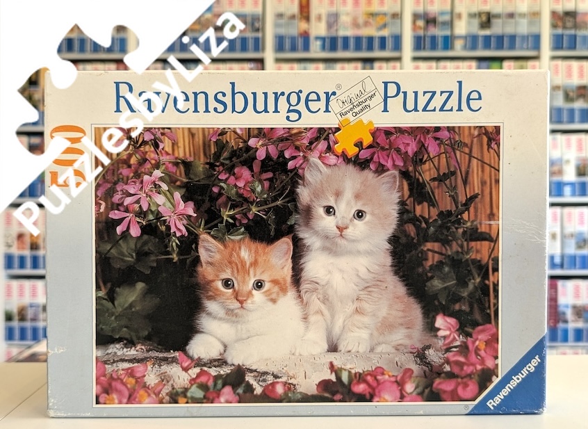please wait for image to load