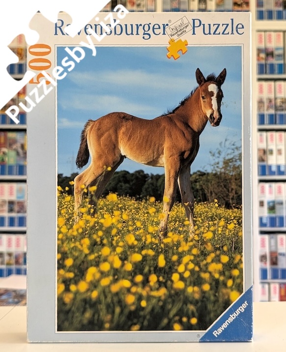 please wait for image to load